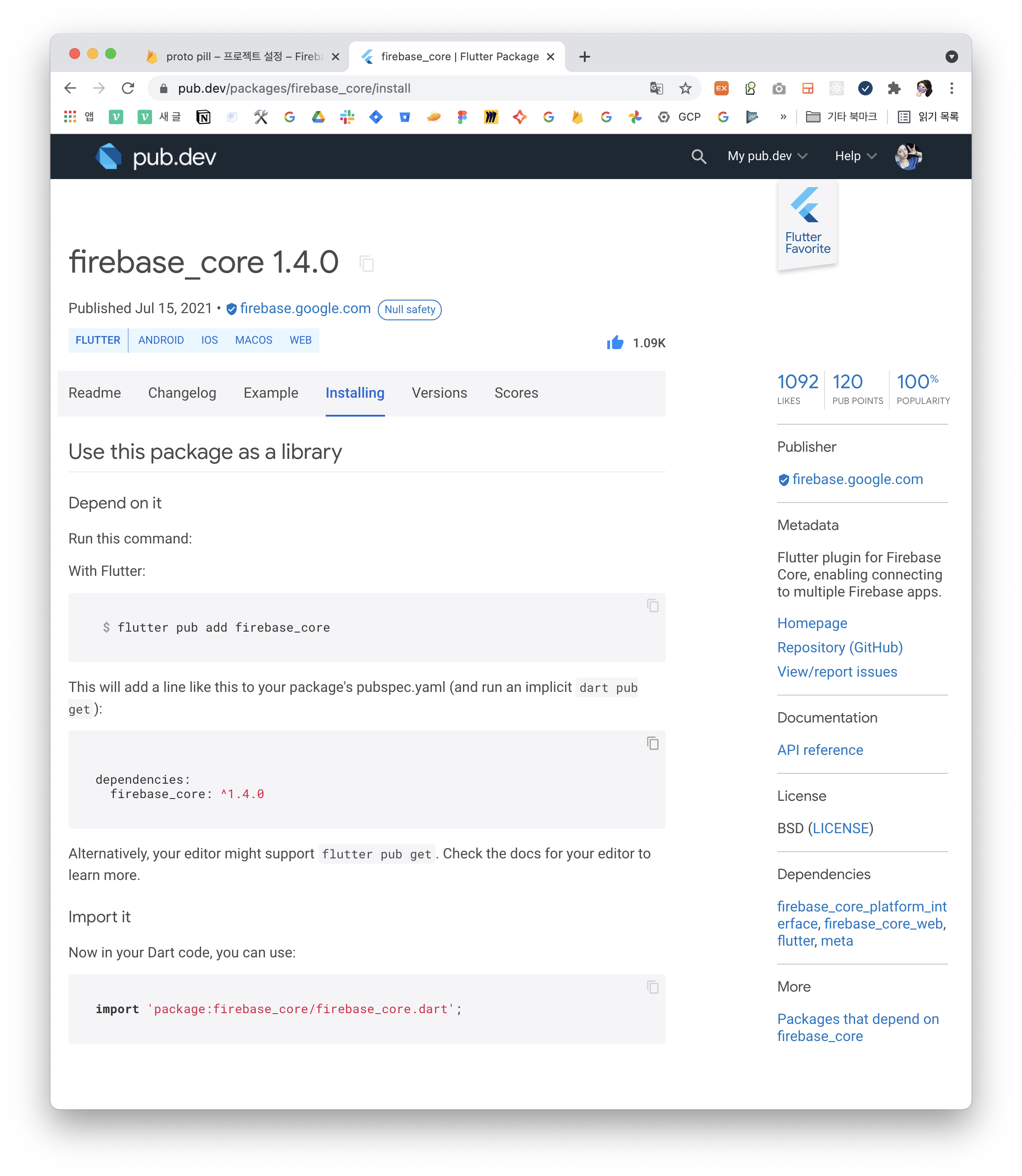 [Flutter] Firebase APP 추가 + firebase core 설정
