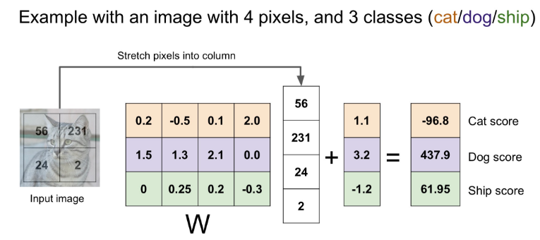 Half-width image