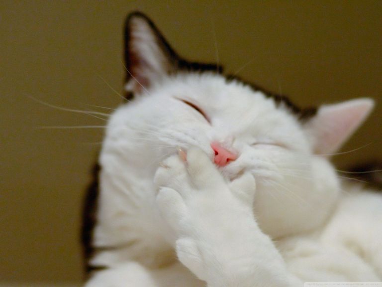 post-thumbnail