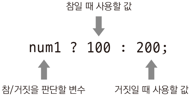 UMC Web study _ 3주차