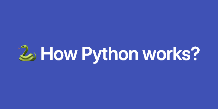 🐍 How Python works?